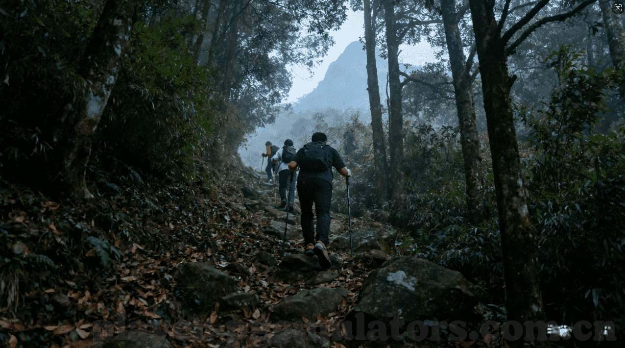 九游大厅软件游戏大厅下载app软件-九游大厅，游戏爱好者的欢乐之选